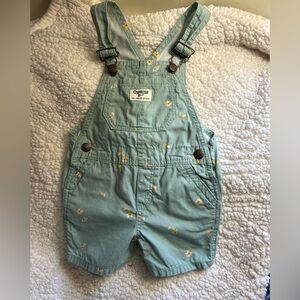 OshKosh | Sage Floral Overalls 2T